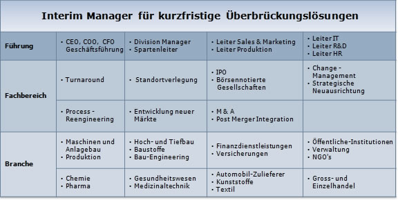 &Uuml;bergangs-Manager, Manger auf Zeit, CEO, COO, CFO, Gesch&auml;ftsf&uuml;hrung, Division Manager, Spartenleiter, Leiter Sales & Marketing, Leiter Produktion, Leiter IT, Leiter R&D, Leiter HR