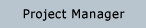 Project Manager